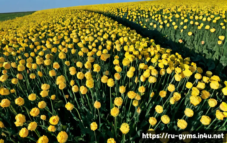 하이킹 훈련용 계단 오르기 기구 관련 이미지 2