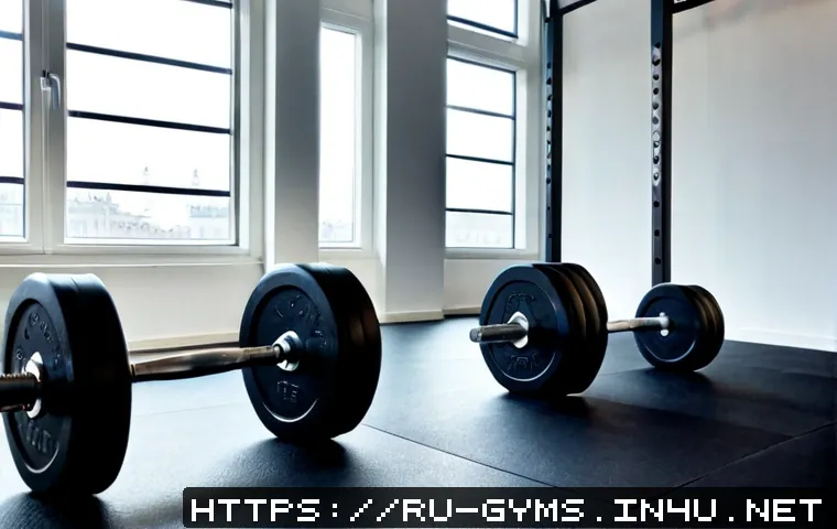 Home 15 바벨과 덤벨 차이점 및 사용 팁 - Photorealistic side-by-side gym equipment comparison: a straight Olympic barbell with evenly loaded ...